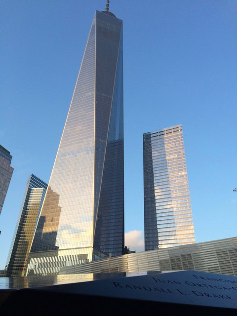 one world trade center and surrounding buildings in new york city, photographed from the ground on a clear day.