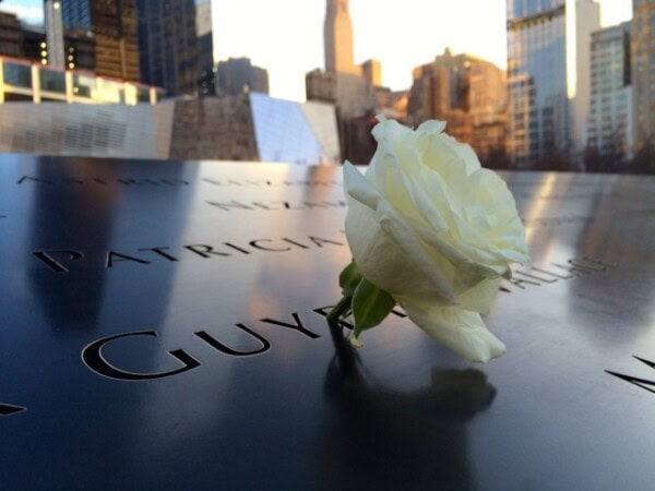 a white rose rests on engraved names at a memorial, with city buildings visible in the background.