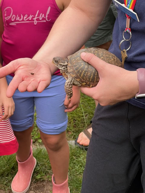 person holding a box turtle while a child in blue shorts and pink boots stands nearby, with others gathered around outdoors.