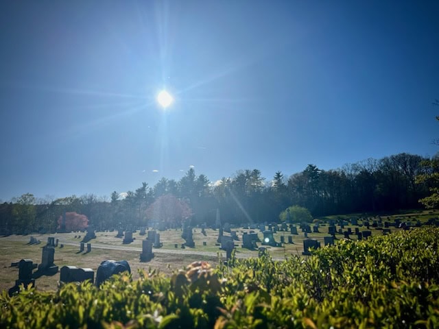 a cemetery with numerous headstones under a bright, clear blue sky with the sun shining above and trees in the background.