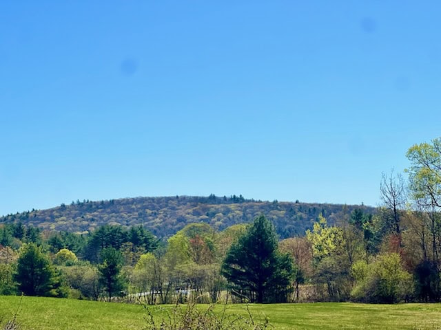 hilly landscape with green trees and grass under a clear blue sky on a sunny day.