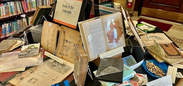a display of damaged library materials, including books with water damage, torn pages, and an embedded maple leaf, with a sign titled “perils to the collection.”