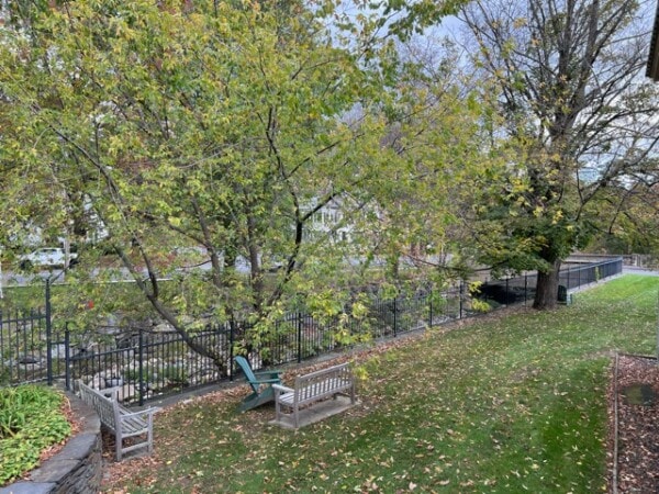 a grassy backyard with scattered fallen leaves, two wooden benches, an adirondack chair, and large trees near a black metal fence.
