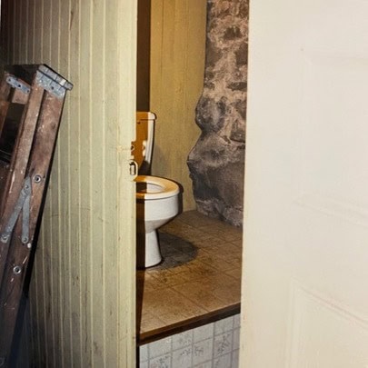 a partially open door reveals a small bathroom with a white toilet next to a stone wall; a folded wooden ladder leans against the wall outside.
