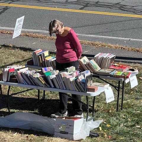 a woman in a red top stands behind tables covered with books at an outdoor book sale on a grassy area near a road.
