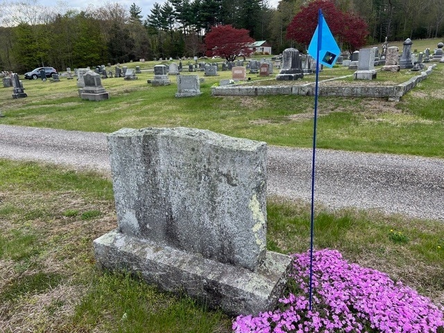 weathered gravestone with illegible text in a cemetery, next to a blue flag and growing pink flowers; several headstones and a car are visible in the background.