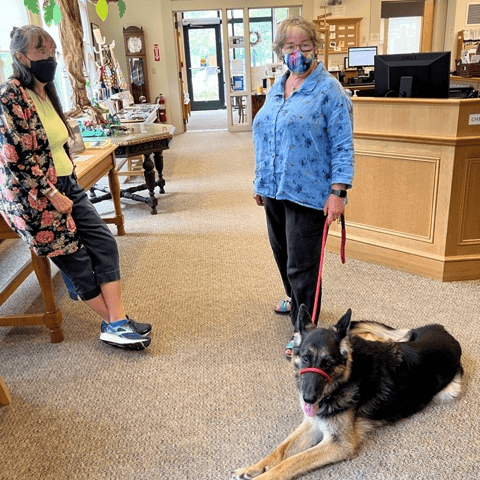 two women wearing masks stand in a library while a german shepherd on a red leash lies on the carpeted floor.