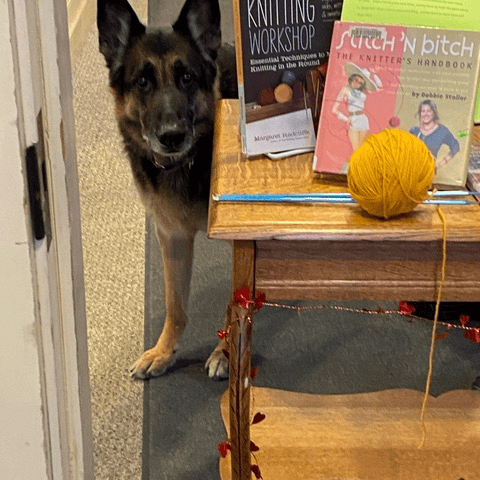 a german shepherd stands by a wooden cart holding knitting books, a ball of yellow yarn, and red string, near a doorway.