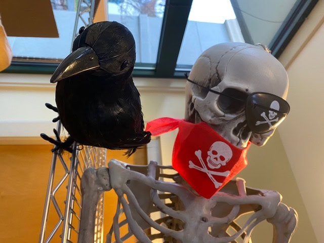 a skeleton wearing sunglasses and a red pirate bandana sits next to a black crow figurine on a shelf, with windows and a ceiling visible in the background.