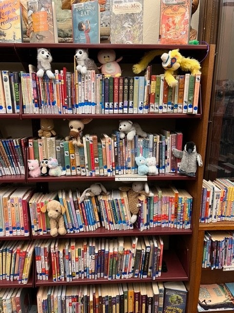 children’s bookshelves with several stuffed animals placed among the books on three shelves in a library setting.