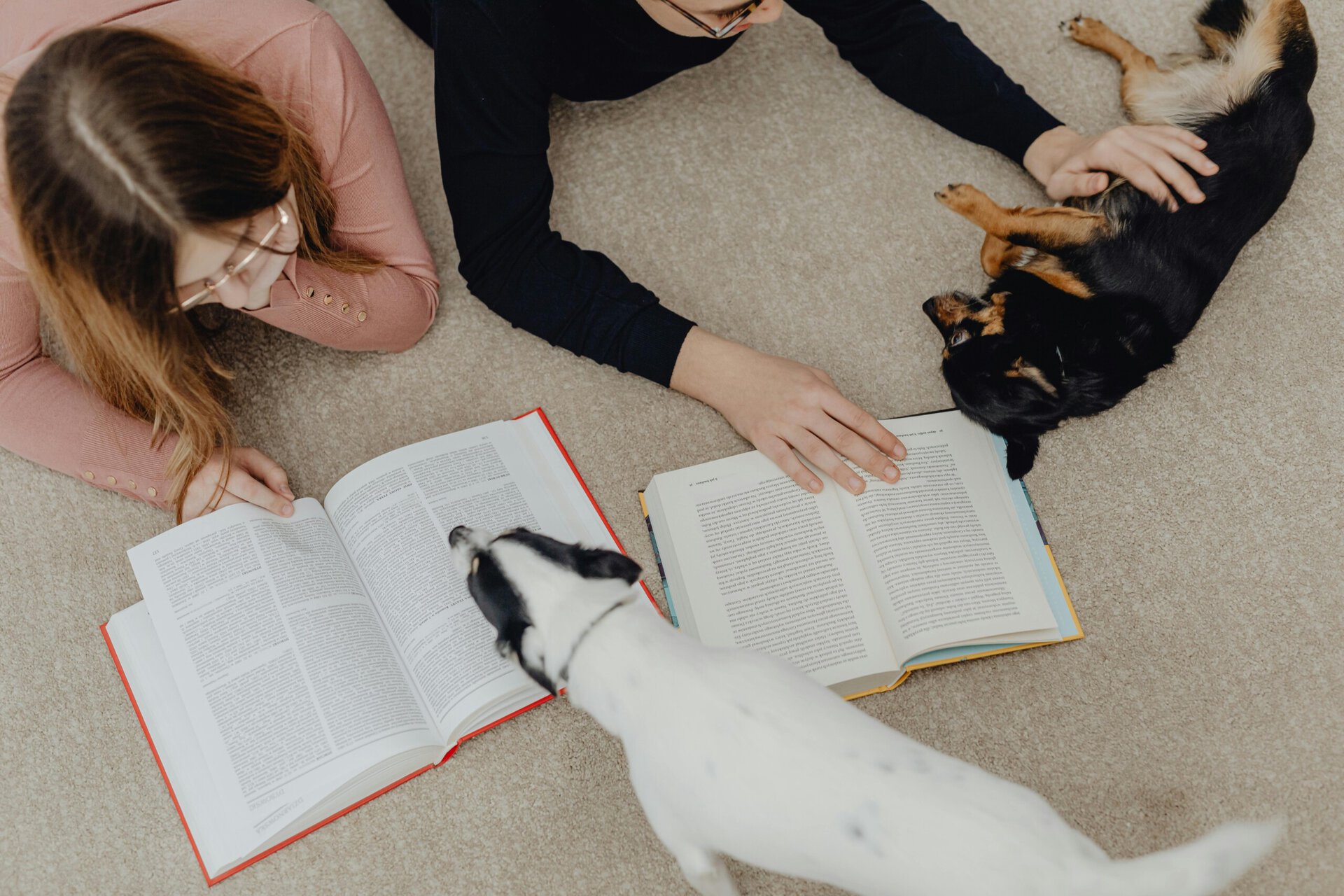two people lying on the floor reading books, with one petting a black dog and a white dog sniffing the open book.