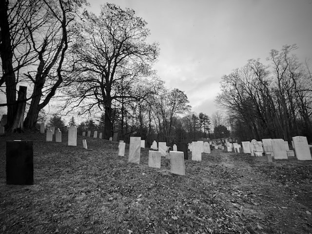 black and white photo of a cemetery on a sloped hill with numerous headstones and leafless trees under a cloudy sky.