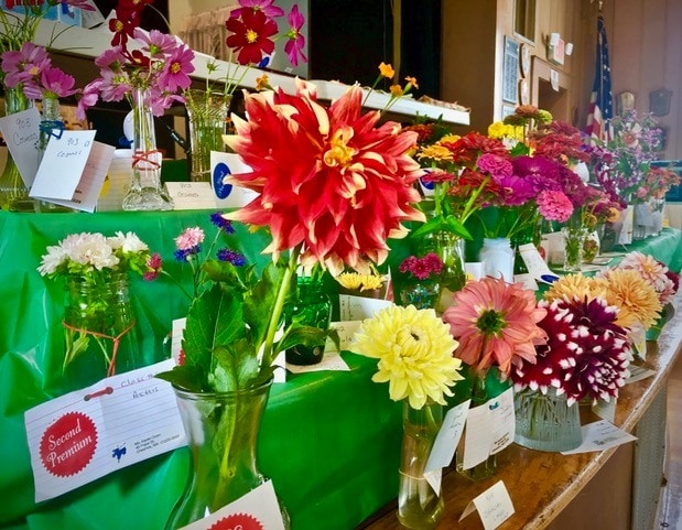 assorted cut flowers in vases displayed on green tables, each with tags and ribbons, at what appears to be a flower show or competition indoors.