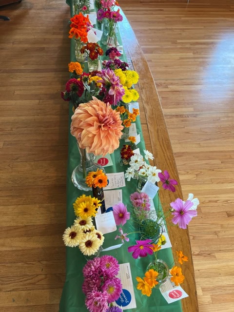 various colorful flowers in glass vases are displayed on a green tablecloth, each accompanied by entry cards and ribbons, on a wooden floor.