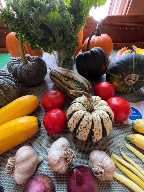 a variety of fresh vegetables on a table, including squash, pumpkins, tomatoes, garlic, onions, yellow zucchini, beans, and leafy greens.