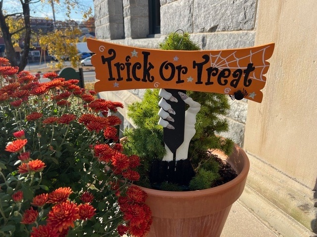 a potted plant with red flowers and a halloween decoration featuring a skeleton hand holding an orange "trick or treat" sign stands outside a stone building in sunlight.