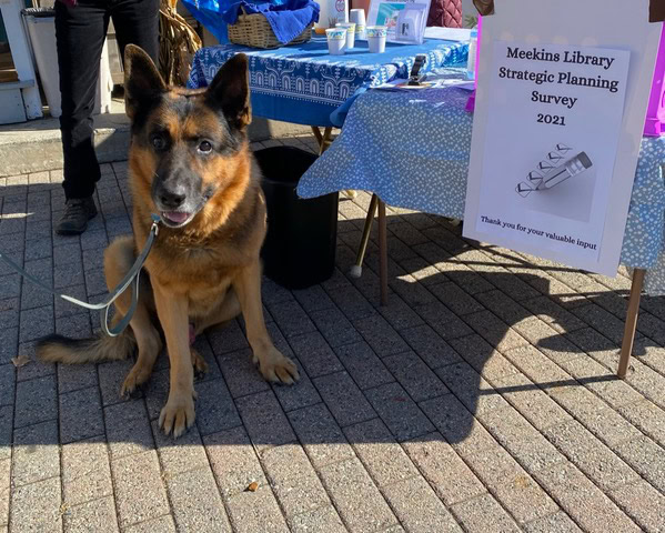 a german shepherd sits on a brick sidewalk next to a table with a "meekins library strategic planning survey 2021" sign and blue tablecloths.