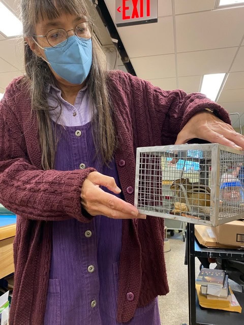 a woman wearing a mask and glasses holds a small wire cage containing a rodent in an indoor setting.