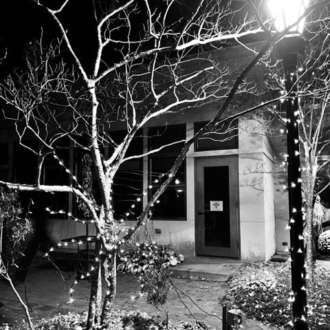 black and white photo of a leafless tree with string lights in front of a building entrance, illuminated by a nearby streetlamp at night.