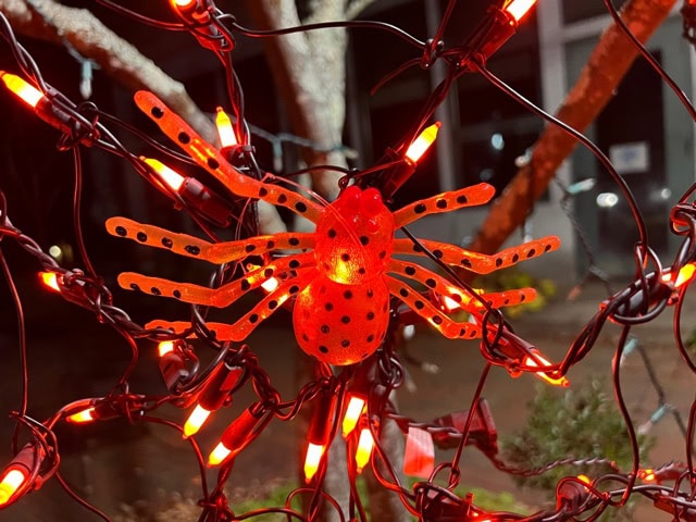 a red plastic spider with black spots is attached to a web of red string lights outdoors at night.