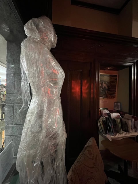 a translucent sculpture of a human figure made from clear material stands beside wooden shelves filled with books, in a dimly lit room.