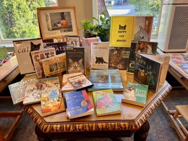 a display of books about cats is arranged on a wooden table near a window, with signs celebrating “cat month” and various cat themed decorations.