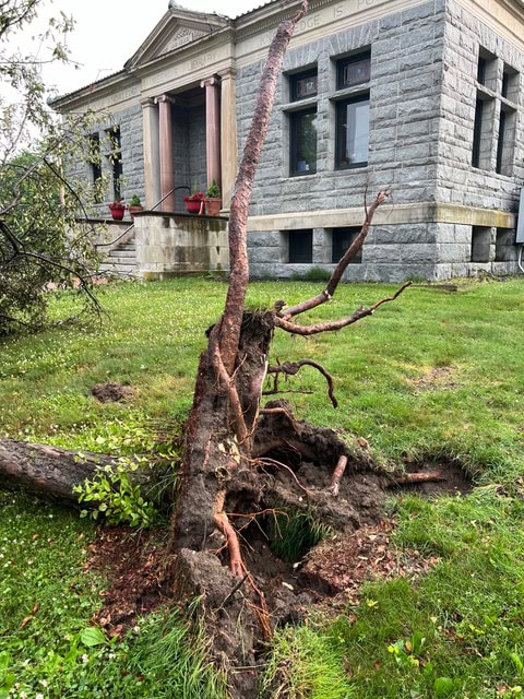 a large tree has been uprooted, lying on a grassy lawn in front of a stone building with columns and potted plants.