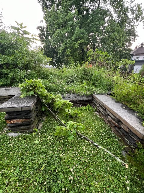 a fallen tree branch lies across a stone bench surrounded by overgrown grass and vegetation in a garden or park setting.