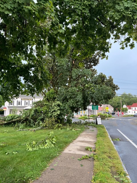large tree branches and debris cover a sidewalk and part of a road after a storm, with buildings and traffic signs visible in the background.