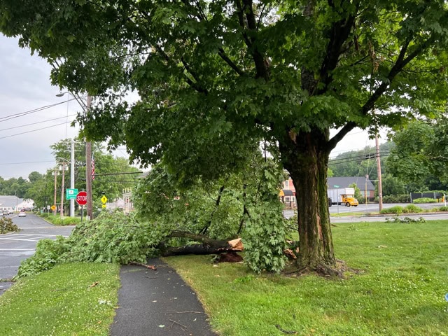 a large tree branch has broken off and fallen across a sidewalk and grass near a street intersection on a cloudy day.