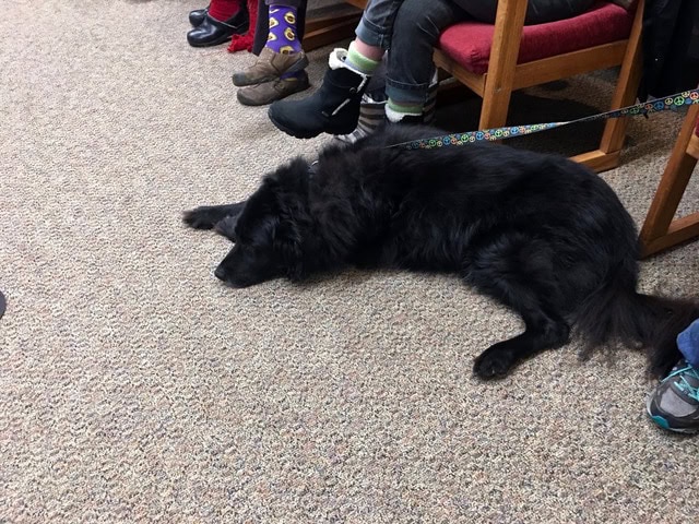 a black dog lies on a carpeted floor next to seated people, with its leash held by someone out of frame.