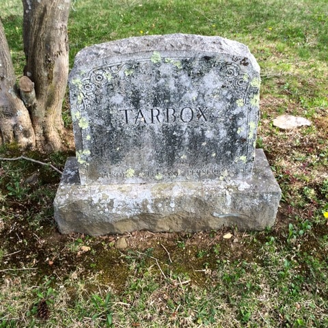 weathered gravestone inscribed with the name "tarbox" stands on grassy ground next to a tree.