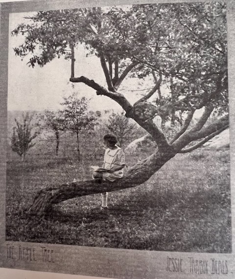 a child sits reading on a large, low tree branch in a grassy area with other trees in the background. the image is black and white.