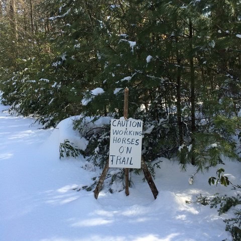 handwritten sign in snowy woods reads “caution working horses on trail,” warning trail users of horses in the area. pines and snow surround the sign.