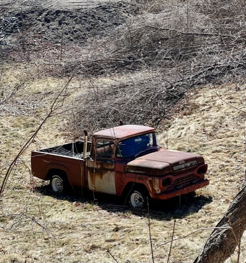 an old, rusted pickup truck sits abandoned on dry grass amid sparse vegetation and leafless branches.