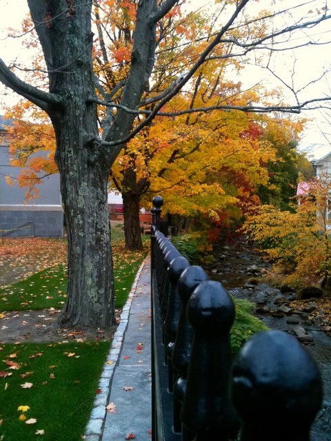 black iron fence runs alongside a stone path by a tree with autumn leaves, next to a small stream and buildings in the background.