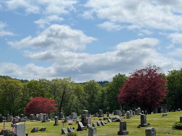 a cemetery with numerous gravestones and american flags, surrounded by green grass and trees, under a partly cloudy sky.
