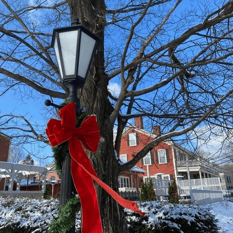 a lamp post decorated with a red bow and garland stands in front of a snow covered tree and a red house on a clear winter day.