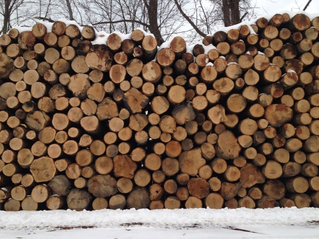 a large stack of cut tree logs is piled in rows outdoors, with snow on the ground and bare trees in the background.