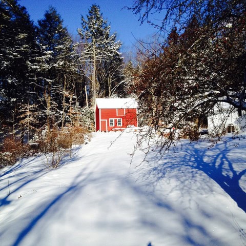 a small red house stands in the center of a snow covered yard, surrounded by trees under a clear blue sky.