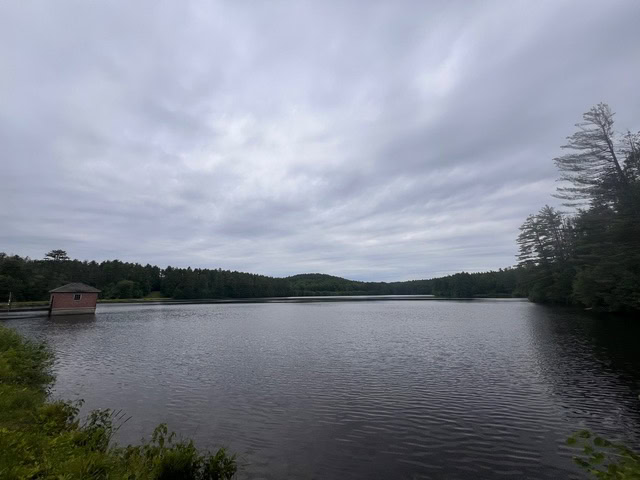 a calm lake surrounded by trees under a cloudy sky, with a small wooden building at the water's edge on the left.
