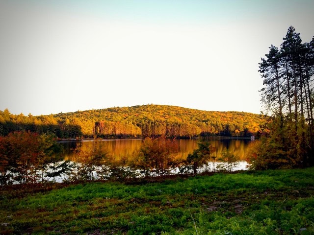 a hill covered in autumn foliage is reflected in a calm lake, with trees and green grass in the foreground under a clear sky.