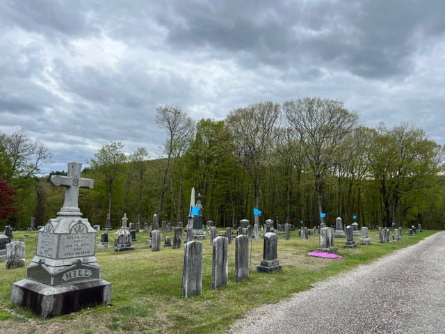 a cemetery with multiple gravestones, an overcast sky, and a gravel path; some graves have blue flags and one has pink flowers. trees line the background.