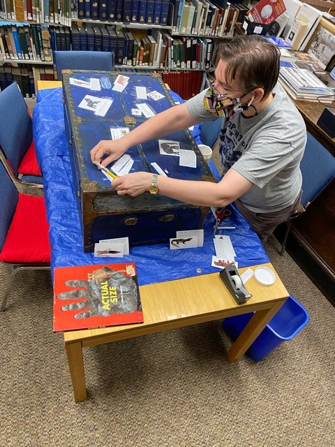 a person wearing a mask arranges labeled cards on an old trunk covered with blue cloth, in a library setting with bookshelves and tables nearby.