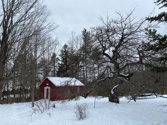 a small red cabin sits in a snowy landscape surrounded by bare trees and a large, leafless tree in the foreground under a cloudy sky.