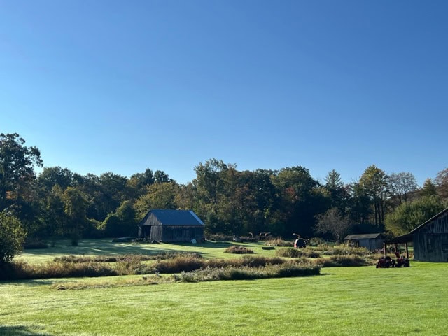 a rural landscape with green grass, a few barns, scattered trees, and clear blue sky on a sunny day.