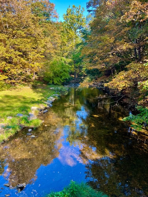 a clear, shallow stream flows between trees with green and autumn colored leaves under a bright blue sky.