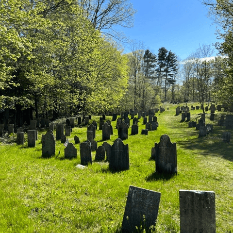 old gravestones in a sunlit cemetery surrounded by green grass and trees, under a clear blue sky.