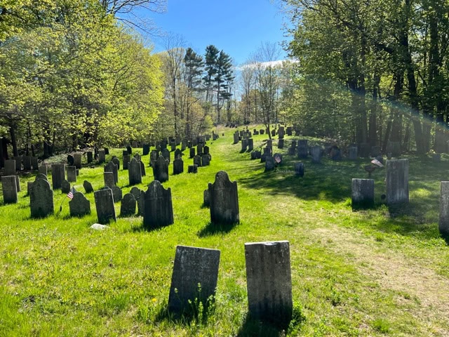 old cemetery with weathered headstones scattered across a grassy, sunlit clearing surrounded by trees and patches of shade.