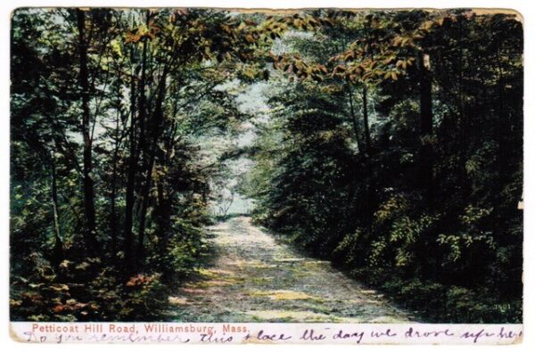 a dirt road, surrounded by dense trees and greenery, winds through petticoat hill road in williamsburg, massachusetts, under a cloudy sky.
